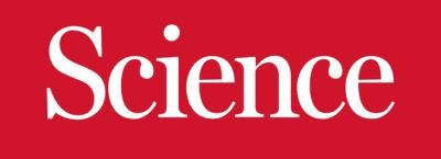 Resistance to anti-PD-1 immunotherapy can be attributed to the gut microbiome